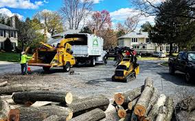 Best Firewood Processing and Delivery  in Los Alamos, NM